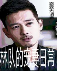 林队的宠妻日常