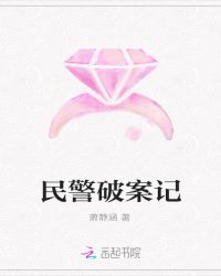 民警破案记