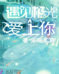 遇见极光爱上你