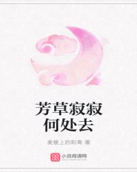 芳草寂寂何处去