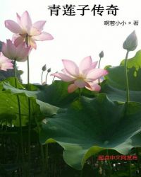 青莲子传奇