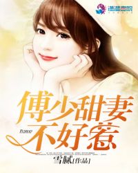 傅少甜妻不好惹