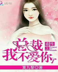 重生之总裁，我不爱你了