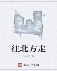 往北方走