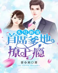头号新宠：首席爹地撩上瘾