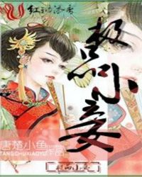 极品小妾