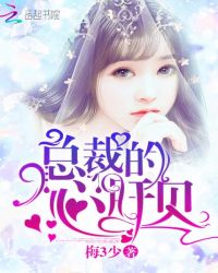 总裁的心肝贝