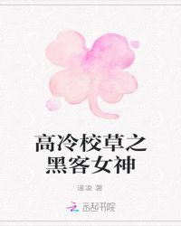 高冷校草之黑客女神