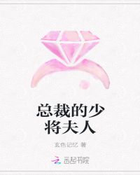 总裁的少将夫人