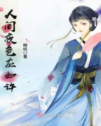 人间夜色应如许