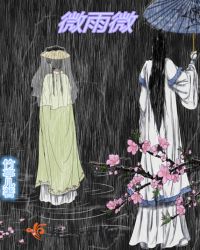 微雨微
