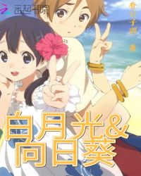 白月光和向日葵