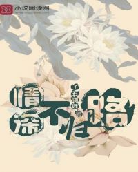 情深不归路