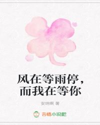 风在等雨停，而我在等你