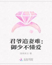 君爷追妻难：御少不懂爱
