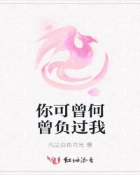 你可曾何曾负过我