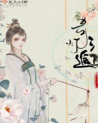 青灯引途
