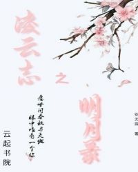 凌云志之明月录