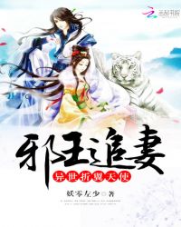 邪王追妻：异世折翼天使