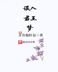 误入君王梦