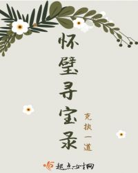 怀璧寻宝录