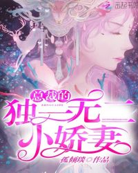 总裁的独一无二小娇妻