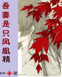 吾妻是只凤凰精