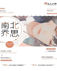 南乔北思