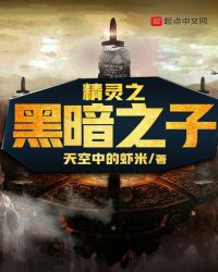 神奇宝贝之黑暗之子