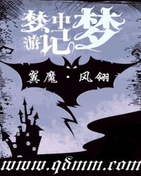 梦中梦游记