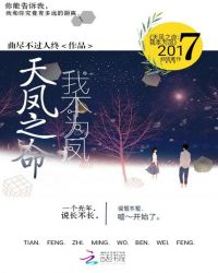 天凤之命：我本为凤