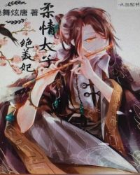 柔情太子绝美妃