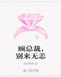 顾总裁，别来无恙