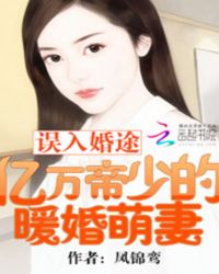 误入婚途：亿万帝少的暖婚萌妻