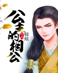 公主的相公