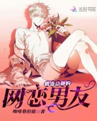 霸道总裁的网恋男友
