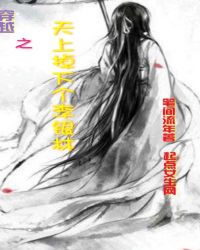 穿越之天上掉下个李银林