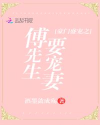 豪门盛宠之傅先生要宠妻
