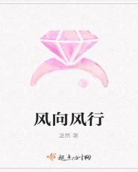 风向风行