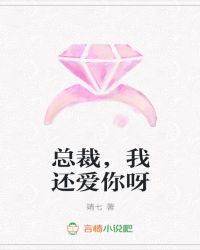 总裁，我还爱你呀