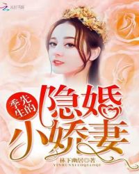 季先生的隐婚小娇妻