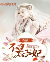 夺嫡：不为太子妃