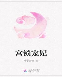 宫锁宠妃