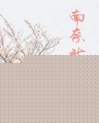 南奈北琛