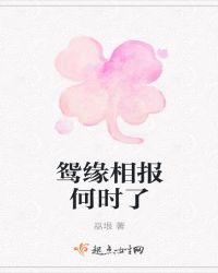 鸳缘相报何时了