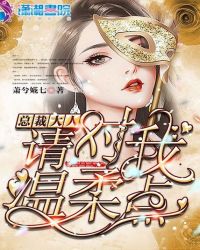 总裁大人：请对我温柔点