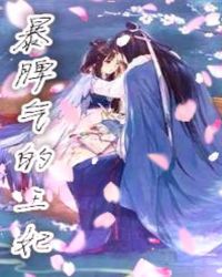 暴脾气的王妃