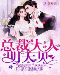 总裁大人，明天见！