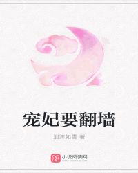 宠妃要翻墙