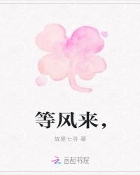 等风来，